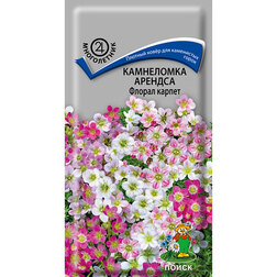 ������ ������ ���������� ������� ������ ������   ����