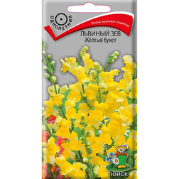 ������ ������ ������� ��� Ƹ���� �����   ����