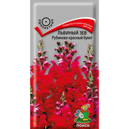 ������ ������ ������� ��� ��������-������� �����   ����