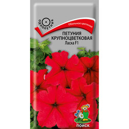 ������ ������ ������� ��������������� �����   ����