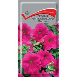 ������ ������ ������� ��������������� �������   ����