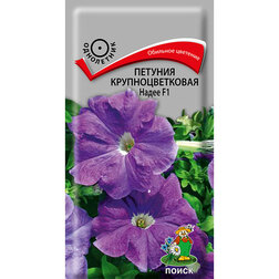 ������ ������ ������� ��������������� �����   ����