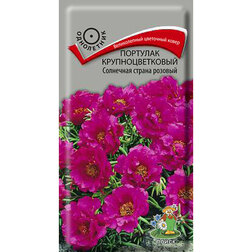 ������ ������ �������� ��������������� ��������� ������ �������   ����