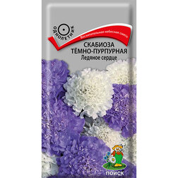 ������ ������ �������� ����-��������� ������� ������   ����