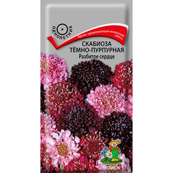 ������ ������ �������� ����-��������� �������� ������   ����