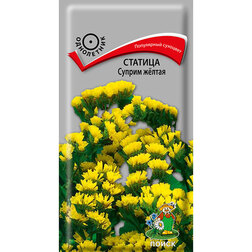 ������ ������ ������� ������ �����   ����