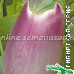 ������ ������ �������� ���� (��������� �����)   ����