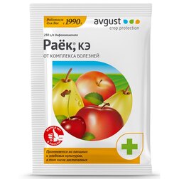 ������ ������ ��� (2 ��)   ����