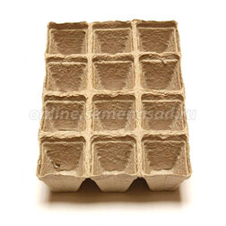 ������ ������ ������ �������� (12 �����) 50�50   ����