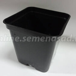 ������ ������ ������ �9 (9�9�10) ������ ( �����, ������)   ����