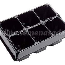 ������ ������ ������� �6 Modiform ������   ����