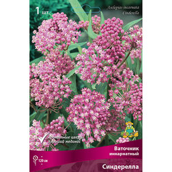 ������ ������ �������� ����������� ����������   ����