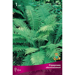 ������ ������ ��������� ������������   ����