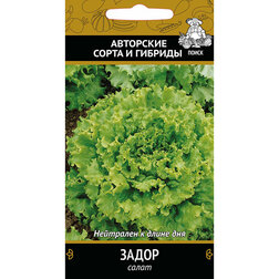 ������ ������ ����� �����   ����