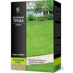 ������ ������ �������� ����� ���� ����� ( 500 ��)   ����