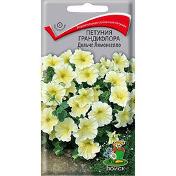 ������ ������ ������� ����������� ������ ����������   ����