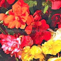 ������ ������ ������� ��������� ������ ����� (1 ��-100�����) ���������������� ������   ����