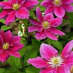 ������ ������ �������� ��������������� ����� (1-�����)   ����