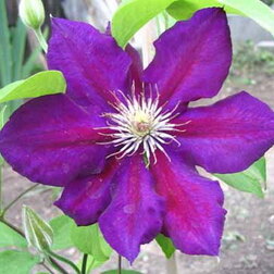 ������ ������ �������� ��������������� �����   ����