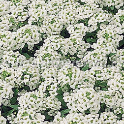 ������ ������ ������� ����� ����� ���� (1��-5 000��.) ���������������� ������   ����