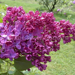 ������ ������ ������������ ������ ������������ ����� ������   ����