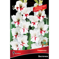 ������ ������ ��������� �������� (5 ��.)   ����