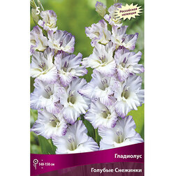 ������ ������ �������� ���������� ������� �������� (5 ��.)   ����