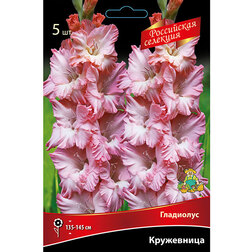 ������ ������ ��������� ���������� (5 ��.)   ����