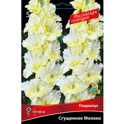 ������ ������ ��������� �������� ������ (5 ��.)   ����