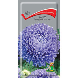 ������ ������ ����� ������� ������   ����