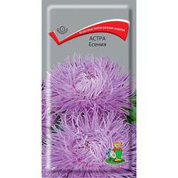 ������ ������ ����� ������   ����