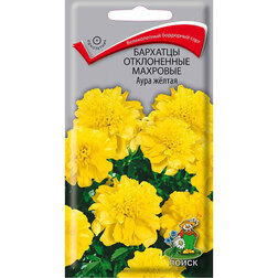 ������ ������ �������� ����������� �������� ���� �����   ����