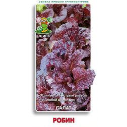 ������ ������ ����� �����   ����