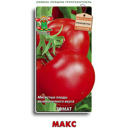 ������ ������ ����� ����   ����