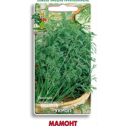 ������ ������ ����� ������   ����