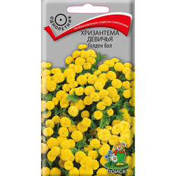 ������ ������ ���������� ������� ������ ���   ����