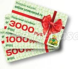 ������ ������ ���������� ���������� (������� 3000 �.)   ����