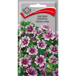 ������ ������ ������ ������� ������� �����   ����