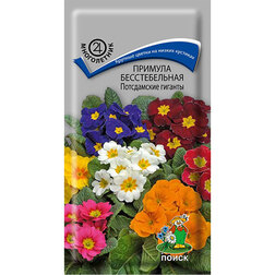 ������ ������ ������� ������������� ����������� �������   ����