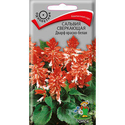 ������ ������ ������� ���������� ����� ������-�����   ����