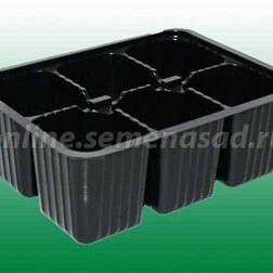 ������ ������ ���� ������� �/�������-6�����   ����