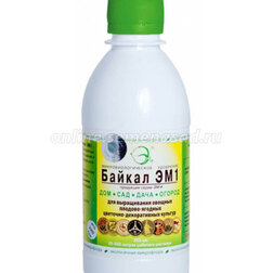 ������ ������ ������ ��-1 (0,25�.)   ����