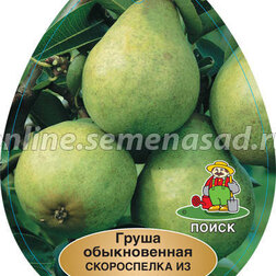 ������ ������ ����� ����������� �� ���������� (� �����)   ����