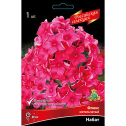 ������ ������ ����� ����������� �����   ����