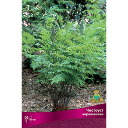 ������ ������ �������� �����������   ����