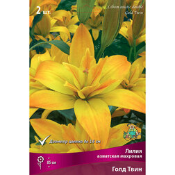 ������ ������ ����� ��������� �������� ���� ���� (2 ��.)   ����