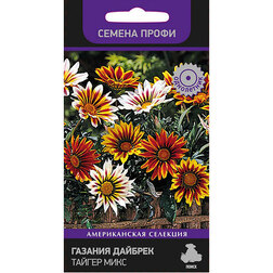 ������ ������ ������� ������� ������ ���� (������ �����)   ����