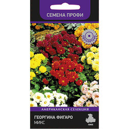 ������ ������ �������� ������ ���� (������ �����)   ����