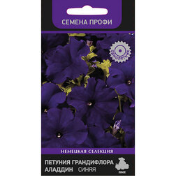 ������ ������ ������� ����������� ������� �����   ����