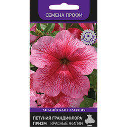 ������ ������ ������� ����������� ����� ������� ����� (������ �����)   ����